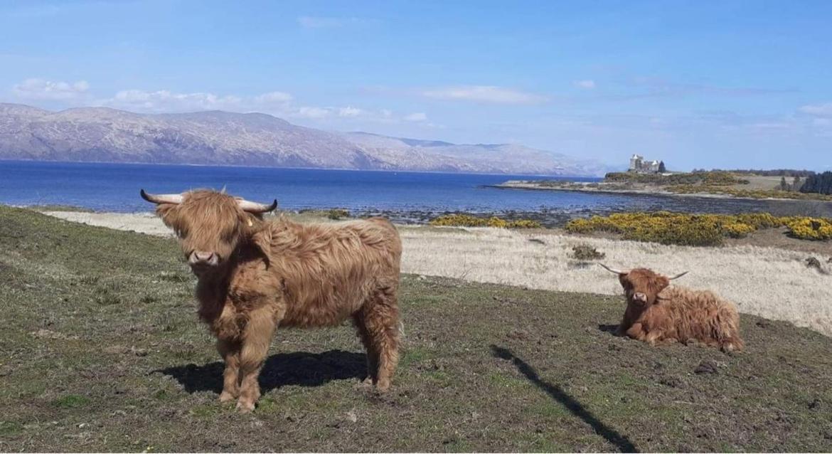 Villa Ard Na Mara Self Catering Isle Of Mull à Dervaig Extérieur photo